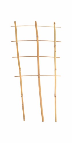Bambus spalier 60cm - spalier, rankhilfe