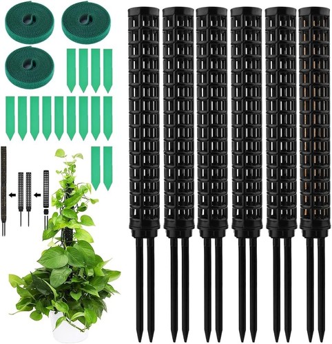 Monstera rankhilfe set - rankhilfe,