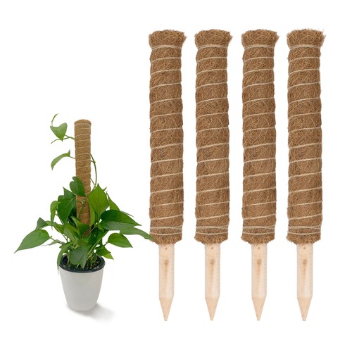Kokos rankstab natur 4 - 40,