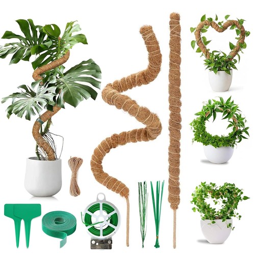 Stück monstera rankhilfe - stück,