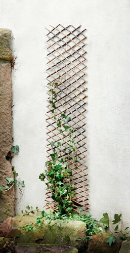 Wandspalier rankhilfe - wandspalier,