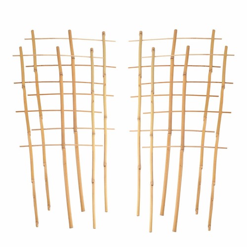 Bambusspalier 60cm - 4x,
