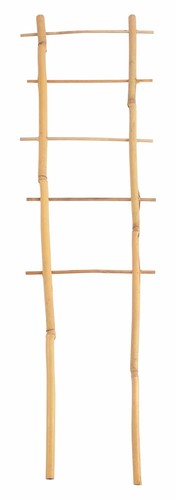Bambus spalier 60cm rankhilfe - bambus,