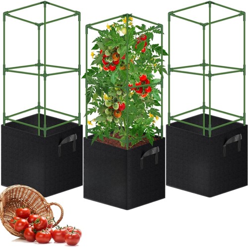 Tomaten rankhilfe set - tomaten,
